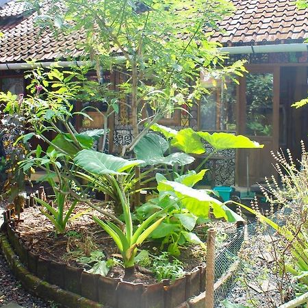 Farmer'S Yard Hostel ชังกู ภายนอก รูปภาพ